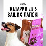 Корм для собак «Дилли»