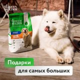 Green Holder — корм для собак и кошек